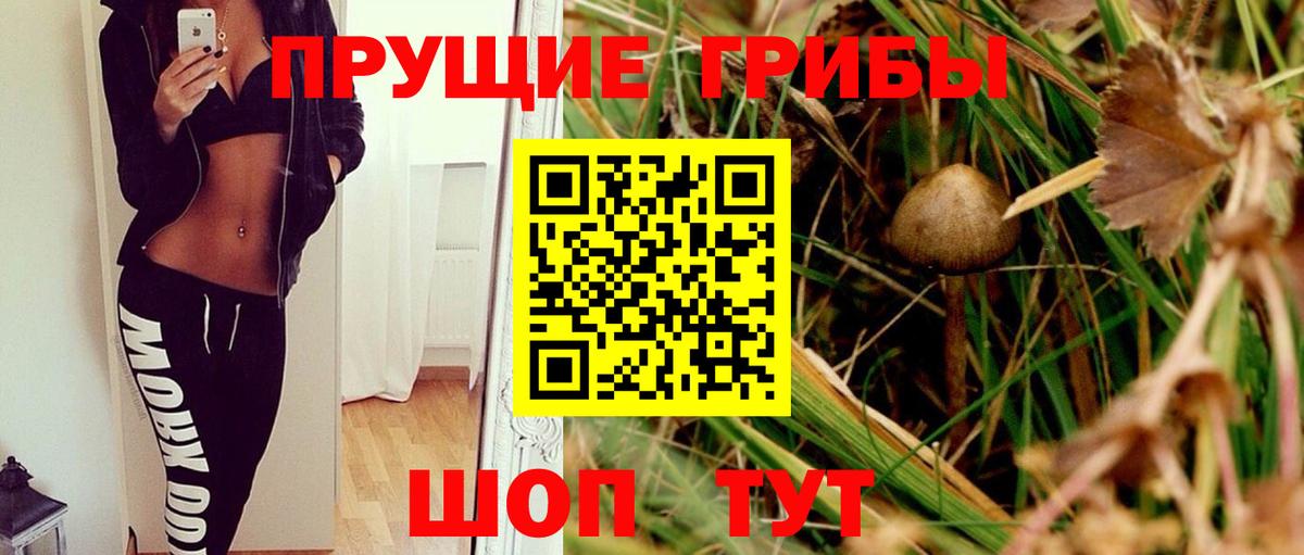 Галлюциногенные грибы прущие грибы  Вход с VPN  Шадринск 